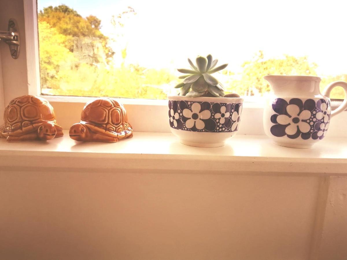 Super Central Cosy Greytown House With Garage Екстериор снимка